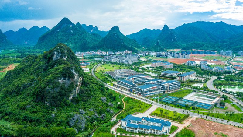 连接器批发市场：揭秘进货渠道的五大关键点**