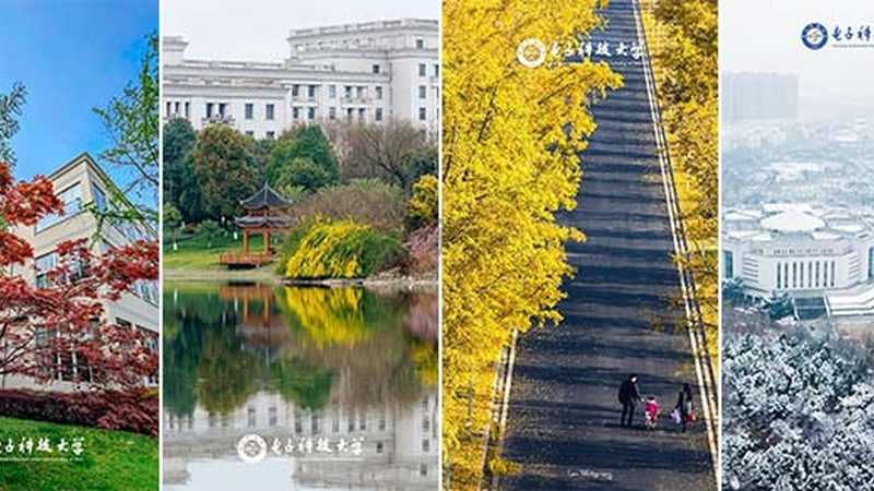 视觉检测设备：参数解析与选购要点**